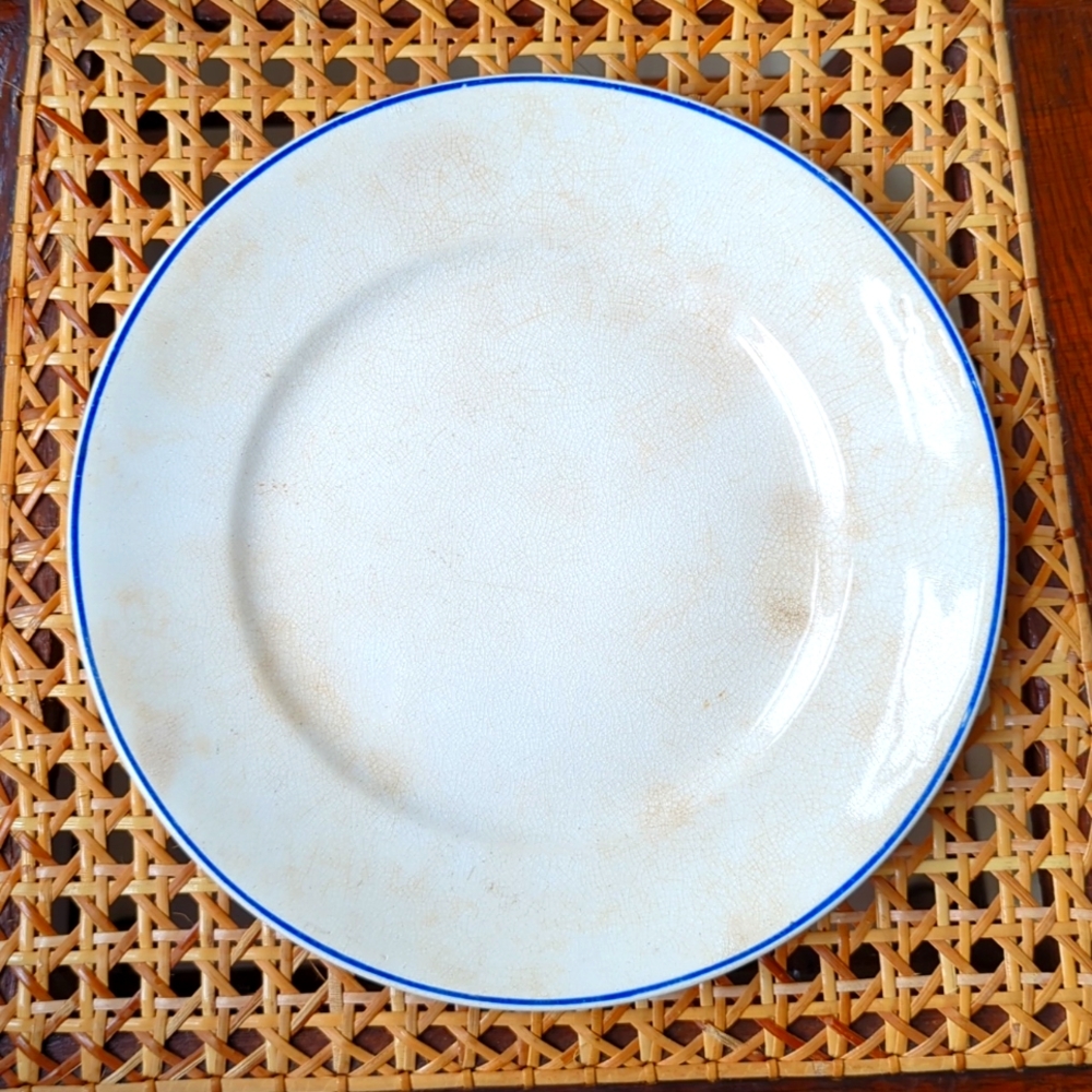 Homer Laughlin Empress Dinner Plates - 2